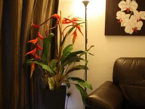 HZ Vacation Home - Image 5