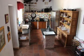 The White Olive - Image 2