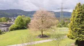 Ferienwohnung Schneckenhalde - Image 3