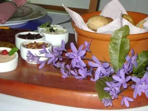 Restaurante Vettore - Image 4