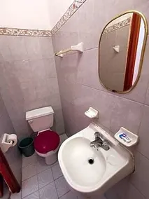 Hotel La Jungla - Image 2