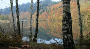 Apartment Gordana A4+2 For 6 Pax Nature Park - Image 3