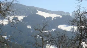 Brandstattgut - Image 4