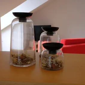 Dreamhouse - Rent A Room - Image 4