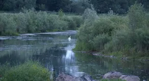 FeWo Lahnblick - Image 2