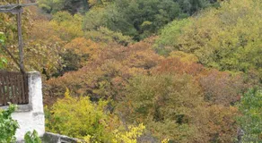 Koukourava Garden - Image 3