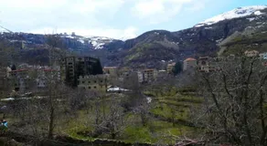 Old Bridge - Image 2