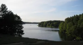 Willa Irena - Image 4