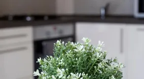 Premium Home - Image 2