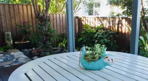 Malibu Apartment - Peregian Beach - Image 5