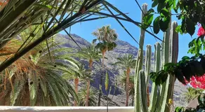 casa limon - Image 4