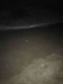 Tortuguero Adventures Beach House - Image 5