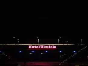 Hotel Ukulele - Image 2