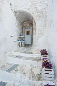 White Dream - Image 2