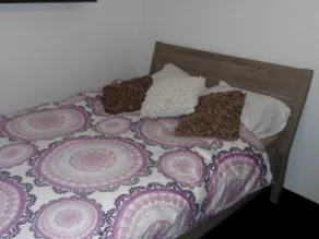 Bed and Breakfast Arendvlucht - Image 4