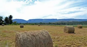 Magalies Tranquil Haven - Image 5
