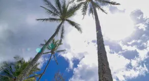 Kapaa Sands 10 - Image 3