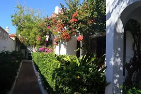 La Concha Apartment Fuerteventura - Image 3