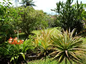 Villa U'upa - Image 4