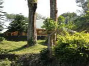 Morleys Place - Image 2