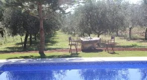 Premantura Olive Garden - Image 2