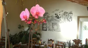 Mas Des Olivettes - Image 3
