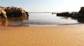 Kona Tkon - Image 5