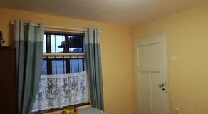 BeeFree - Image 5