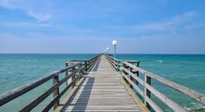 HR Baltic Sea Cottage mit Schwimmbad und Ostseeblick - Image 3