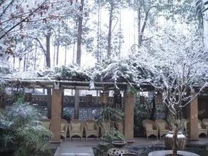 Qionglai Ruiyuan Homestay - Image 2