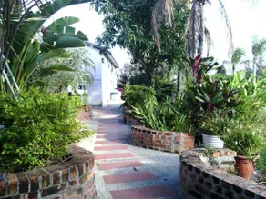 Lev 77 Hostel - Image 2