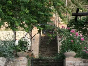 La Rosa Scarlatta - Image 2