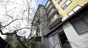 Garden Apartment - Image 3