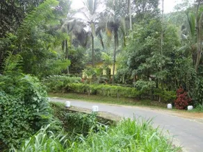 Sembuwatta Reach Homestay. - Image 5