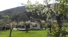 Au Vieux Tilleul Chambres d'Hôtes - Image 3