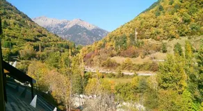 El Rincon de Yolanda - Image 3