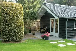 Aan de Bosrand Hoenderloo - Image 3