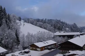 Alpbach appartement Achenschmiedfeld - Image 4