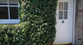 Kings Arms Pub & Rooms - Image 2