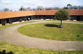 Arran House Stud Farm - Image 5