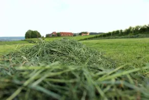 Hoeve Hommerich - Image 3