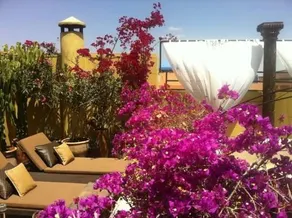 Riad 41 - Image 2