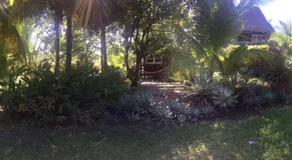 Cabaña Rio Lagarto - Image 5