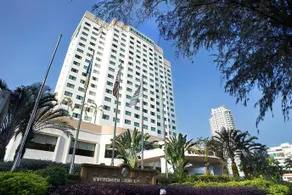 Evergreen Laurel - Image 2