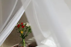 Casa Palapa - Image 3