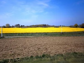 La Clef Des Champs - Image 3
