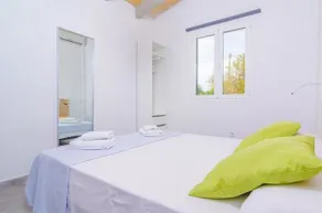 Noguer - Image 2