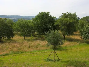 Rue de la Serre - Image 3