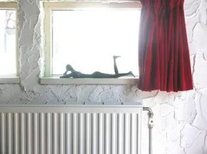 Noordkus - Image 4