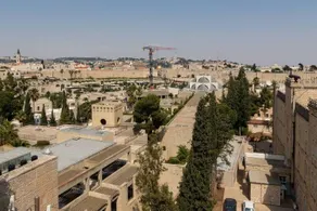 City Of Gold - King David Elegance - Image 5